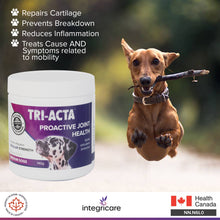 Load image into Gallery viewer, TRI-ACTA DOG/CAT JOINT FORMULA REGULAR STRENGTH 140G