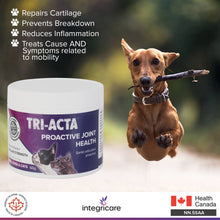 Load image into Gallery viewer, TRI-ACTA DOG/CAT JOINT FORMULA REGULAR STRENGTH 60G