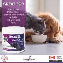 Load image into Gallery viewer, TRI-ACTA DOG/CAT JOINT FORMULA REGULAR STRENGTH 300G