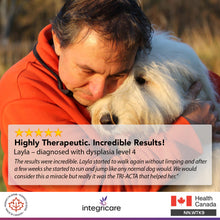 Load image into Gallery viewer, TRI-ACTA H.A DOG/CAT JOINT FORMULA MAXIMUM STRENGTH 140G