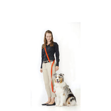 Load image into Gallery viewer, BLUE9 MULTI-FUNCTION LEASH BLACK MEDIUM/LARGE 6'X1"