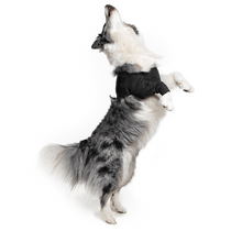 Load image into Gallery viewer, SUITICAL RECOVERY SLEEVE BLACK 3XSM