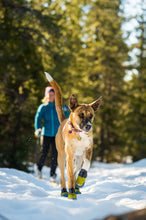 Load image into Gallery viewer, RUFFWEAR POLAR TREX PAIR 1.5"