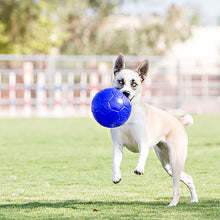 Load image into Gallery viewer, JOLLY PETS SOCCER BALL ORANGE 8"
