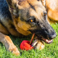 Load image into Gallery viewer, BULLY GRIP HOLDER RED LARGE