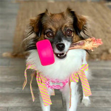 Load image into Gallery viewer, BULLY GRIP HOLDER PINK SMALL