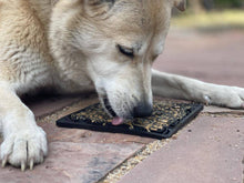 Load image into Gallery viewer, SODAPUP E-MAT ZOMBIE PATTERN BLACK