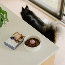 Load image into Gallery viewer, FAIM MUSEAU FROZEN BLUEBERRY YOGURT 6X30G
