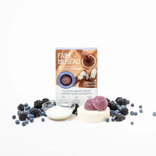 Load image into Gallery viewer, FAIM MUSEAU FROZEN BLUEBERRY YOGURT 6X30G
