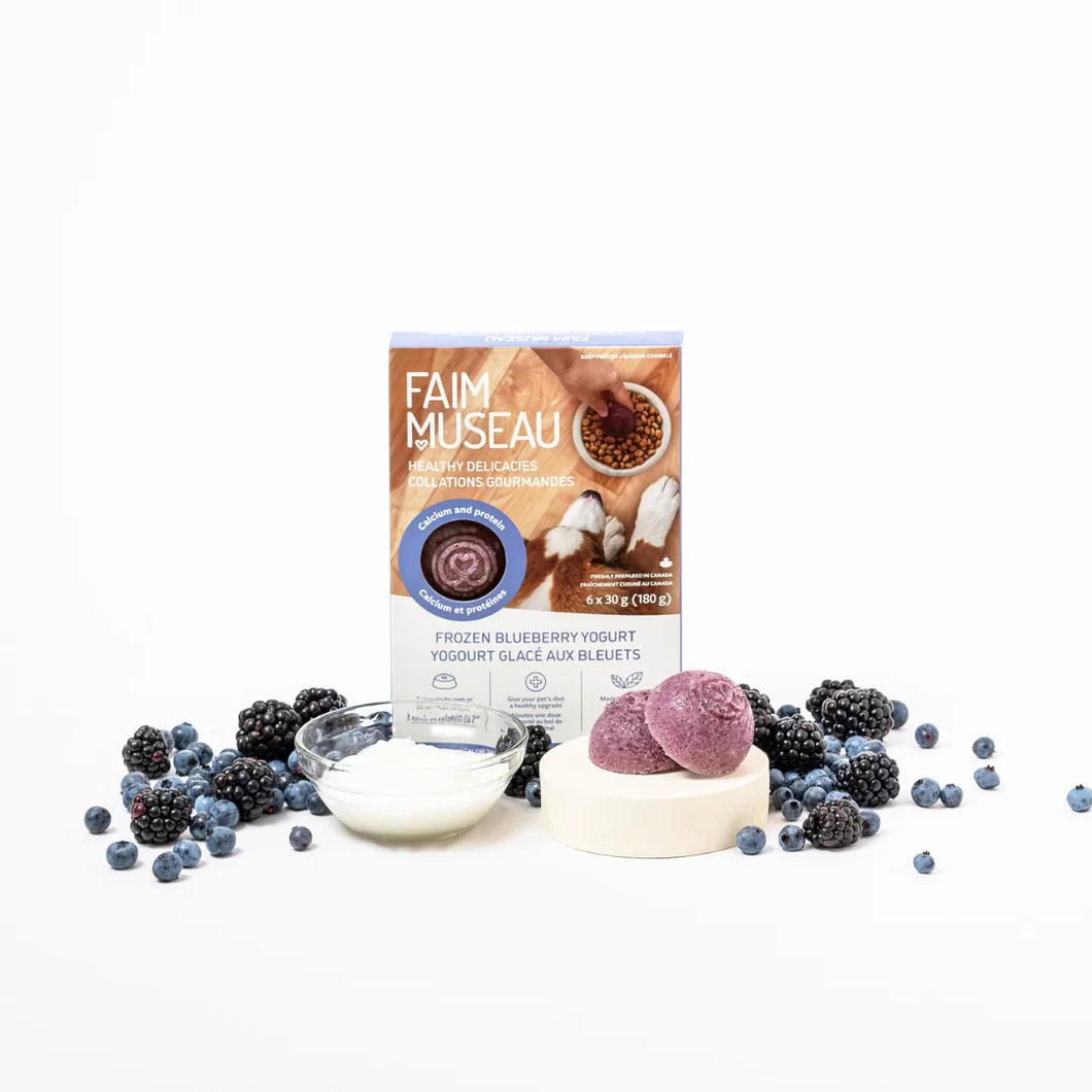 FAIM MUSEAU FROZEN BLUEBERRY YOGURT 6X30G