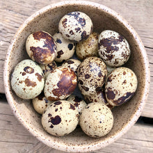 Load image into Gallery viewer, BIG COUNTRY RAW FROZEN QUAIL EGGS 18CT
