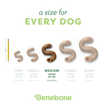 Load image into Gallery viewer, BENEBONE TRIPE BONE CHEW MEDIUM
