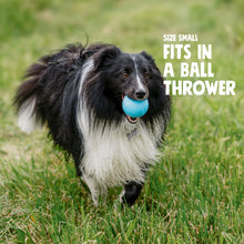 Load image into Gallery viewer, WEST PAW HOLIDAY BOUNDR SMALL 2.5&quot; 2PK
