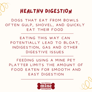 MINE PET PLATTER BONE LG