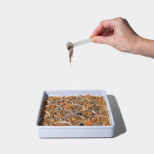 Load image into Gallery viewer, DOGGED CANINE SYNBIOTIC SUPPLEMENT
