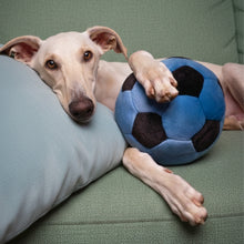 Load image into Gallery viewer, FLUFF &amp; TUFF SOCCER BALL BLUE 7"
