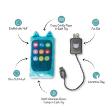 Load image into Gallery viewer, FRINGE CAT CHARGED UP MINI 2PK
