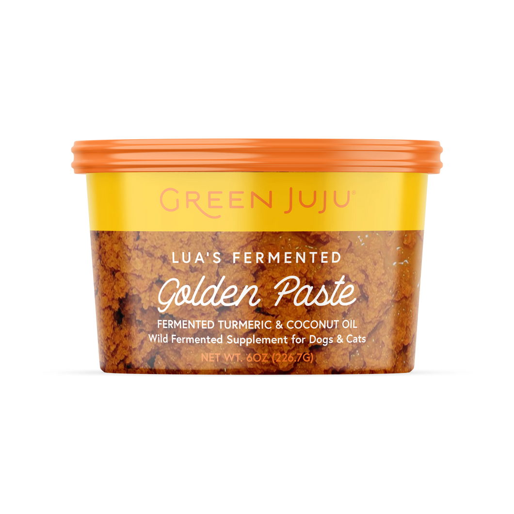 GREEN JUJU FERMENTED GOLDEN PASTE 6OZ