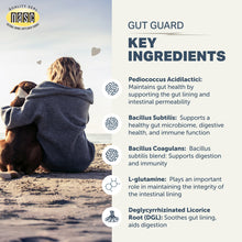 Load image into Gallery viewer, FOUR LEAF ROVER GUT GUARD 106G
