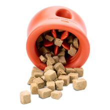 Load image into Gallery viewer, WEST PAW HOLIDAY TOPPL LARGE 4&quot;
