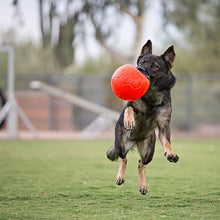 Load image into Gallery viewer, JOLLY PETS SOCCER BALL ORANGE 6"
