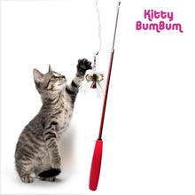 Load image into Gallery viewer, KITTY BUM BUM CAT WAND &amp; TOY COMBO
