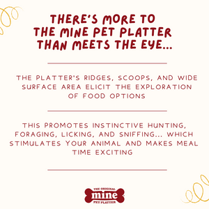 MINE PET PLATTER BONE LG