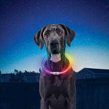 Load image into Gallery viewer, NITE IZE NITEHOWL LED RECHARGABLE NECKLACE DISCO

