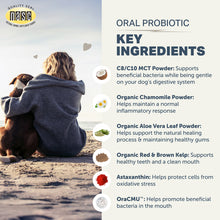 Load image into Gallery viewer, FOUR LEAF ORAL PROBIOTICS 81G
