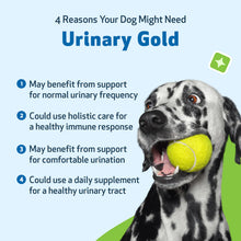 Load image into Gallery viewer, PET WELLBEING URINARY GOLD 4OZ
