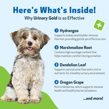 Load image into Gallery viewer, PET WELLBEING URINARY GOLD 4OZ

