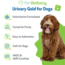 Load image into Gallery viewer, PET WELLBEING URINARY GOLD 4OZ
