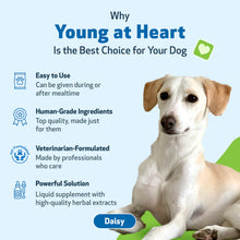 Load image into Gallery viewer, PET WELLBEING YOUNG AT HEART 4OZ
