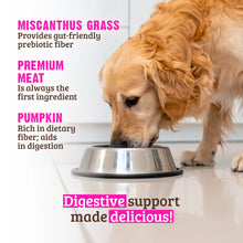 Load image into Gallery viewer, RAWZ DIGESTIVE SUPPORT TURKEY &amp; PUMPKIN DOG CAN 12.5OZ
