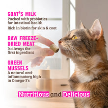 Load image into Gallery viewer, RAWZ FREEZE DRIED RABBIT, GOAT'S MILK &amp; GREEN MUSSELS CAT TREAT 1OZ
