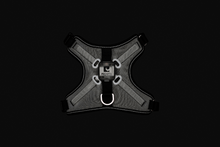 Load image into Gallery viewer, RC NOVA LED HARNESS BLACK &amp; GREY SM
