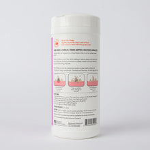 Load image into Gallery viewer, SKOUT'S HONOR PET DENTAL WIPES 50CT
