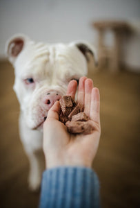 DOGGO HEARTS FREEZE-DRIED BEEF BITES SMALL