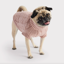 Load image into Gallery viewer, GF PET CHALET SWEATER PINK LG
