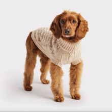 Load image into Gallery viewer, GF PET CHALET SWEATER OATMEAL SM

