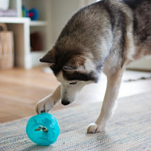 Load image into Gallery viewer, TOTALLY POOCHED STUFF'N WOBBLE BALL TEAL 5"
