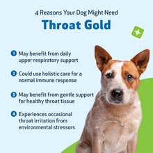 Load image into Gallery viewer, PET WELLBEING THROAT GOLD DOG 4OZ
