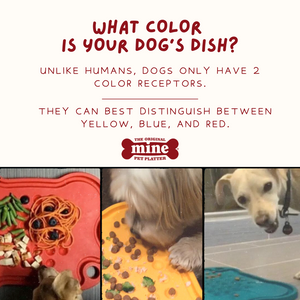 MINE PET PLATTER BONE LG