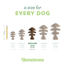 Load image into Gallery viewer, BENEBONE FISHBONE CHEW SALMON MEDIUM
