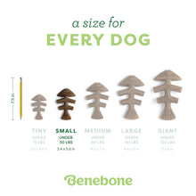 Load image into Gallery viewer, BENEBONE FISHBONE CHEW SALMON SMALL
