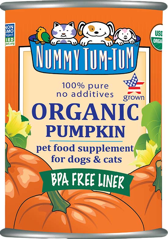 NUMMY TUM TUM ORGANIC PUMPKIN PUREE 15OZ
