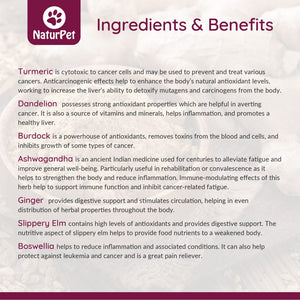 NATURPET IMMUNO BOOST 100ML