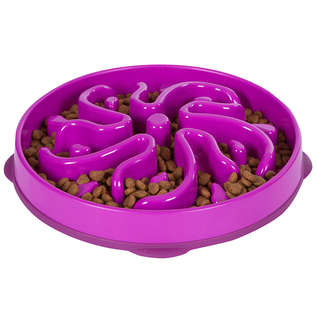 OUTWARD HOUND FUN FEEDER FLOWER PURPLE