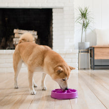 Load image into Gallery viewer, OUTWARD HOUND FUN FEEDER FLOWER PURPLE MINI
