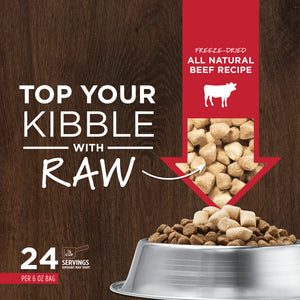 NATURES VARIETY FREEZE DRIED RAW BOOST MIXER BEEF DOG 170G